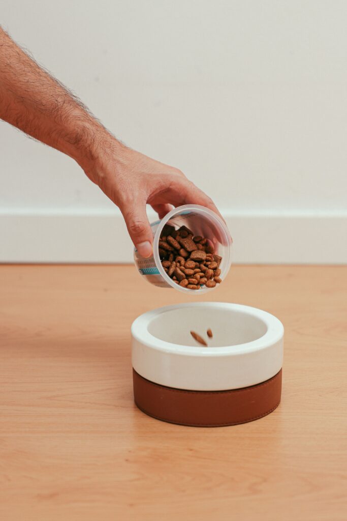 measuring senior dog food portion by weight