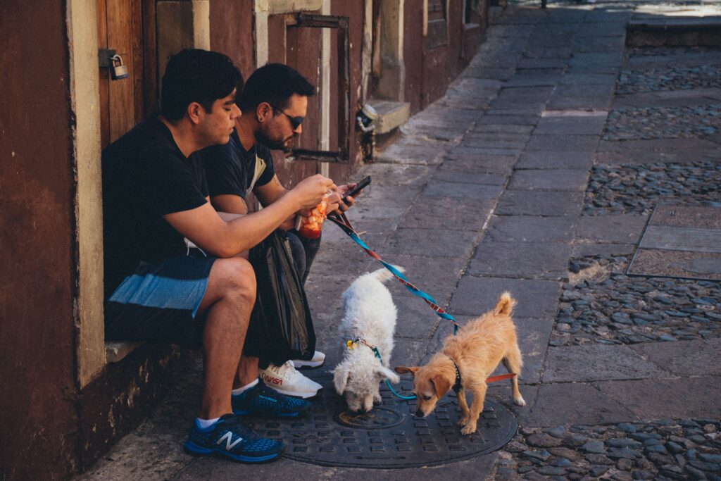 dogs of different breeds and sizes age differently