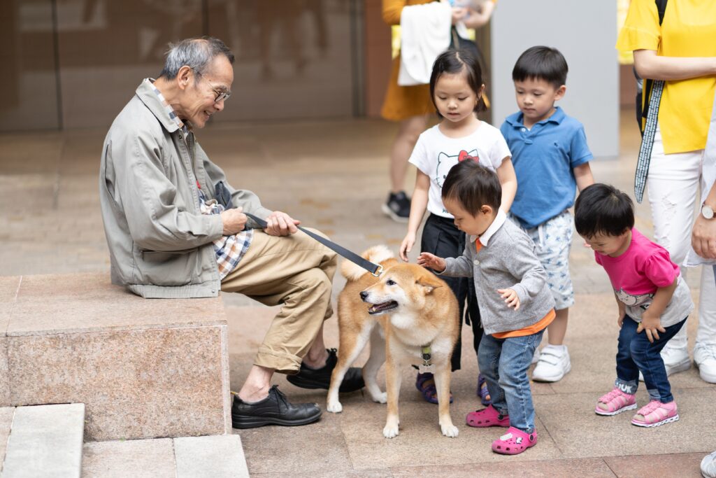 senior dog owner seeking vet bill financial assistance